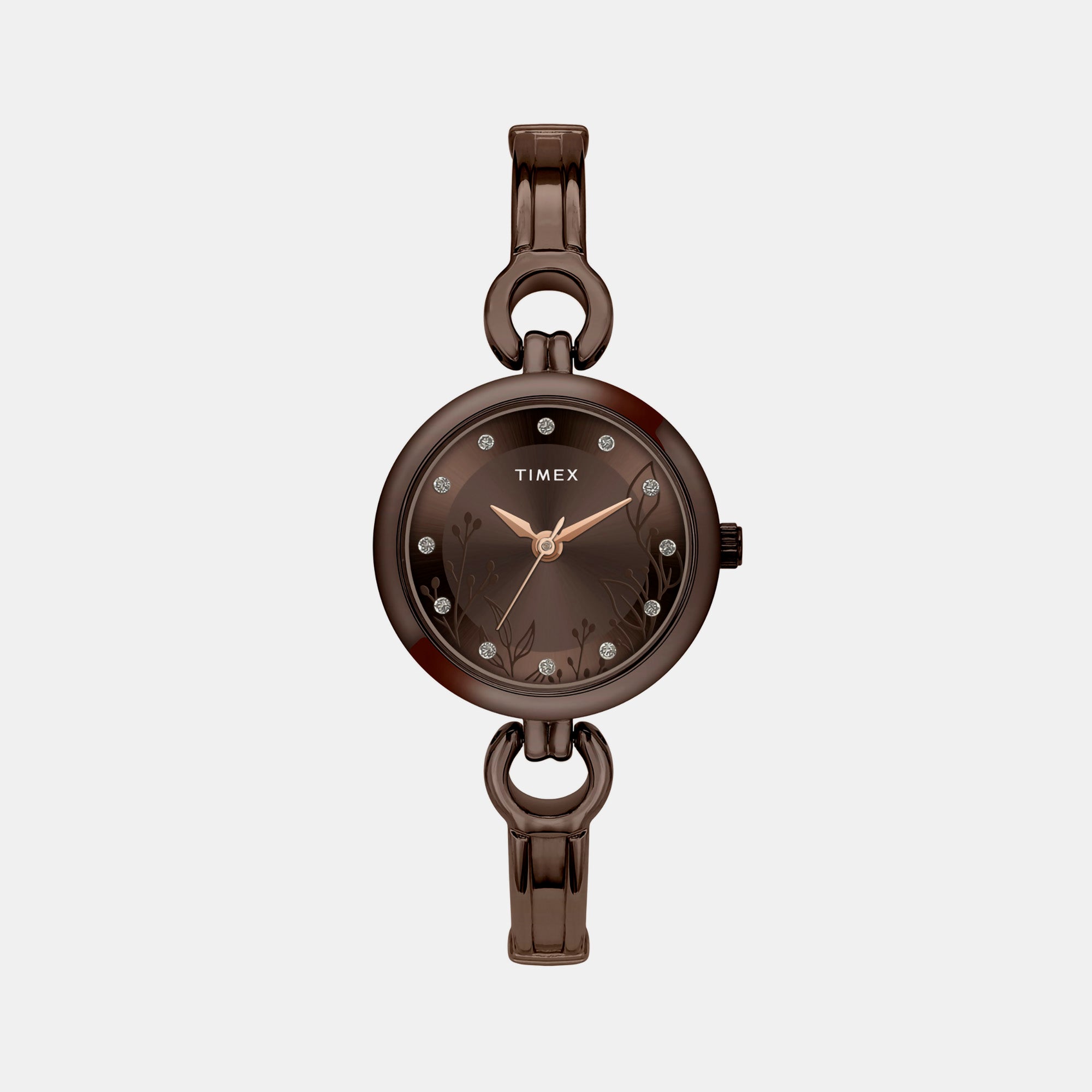 Timex Round Brown Analog watch