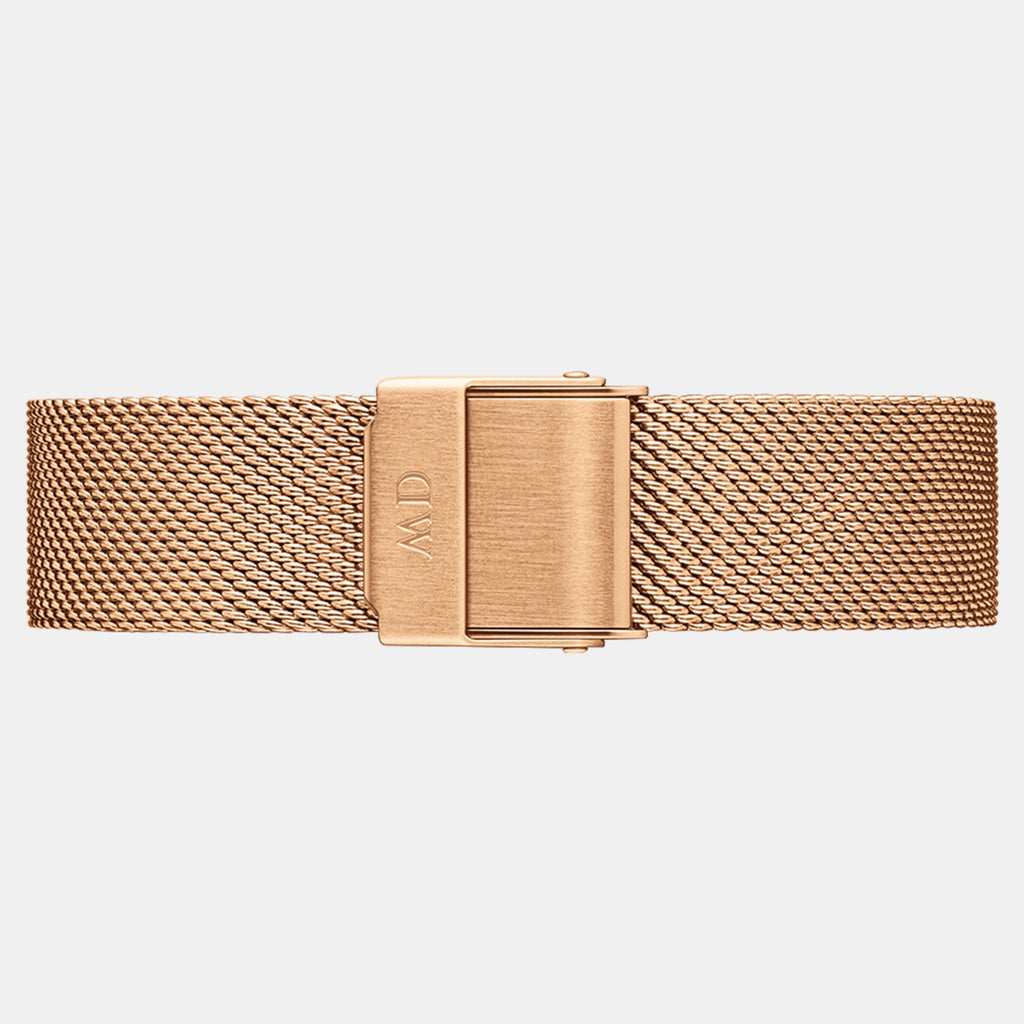 Daniel Wellington Women Round Brown watch