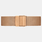 Daniel Wellington Women Round Brown watch