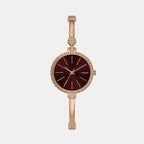 Timex Round Brown Analog watch