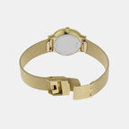 Skagen Stainless Steel Gold watch