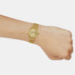 Women's Gold Analog Stainless Steel Mesh Band Watch SH289