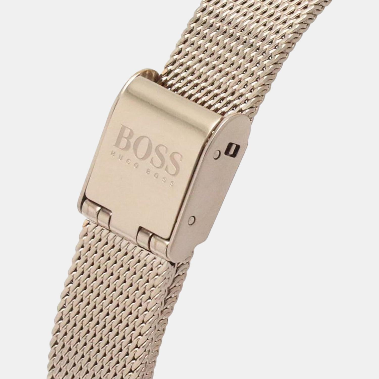 Boss Stainless Steel Grey watch