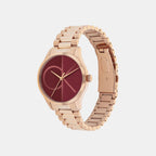 Calvin Klein Unisex Round Burgundy watch