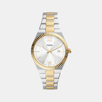 Female Analog Stainless Steel Watch ES5259