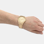 Calvin Klein 40 mm Gold Quartz watch