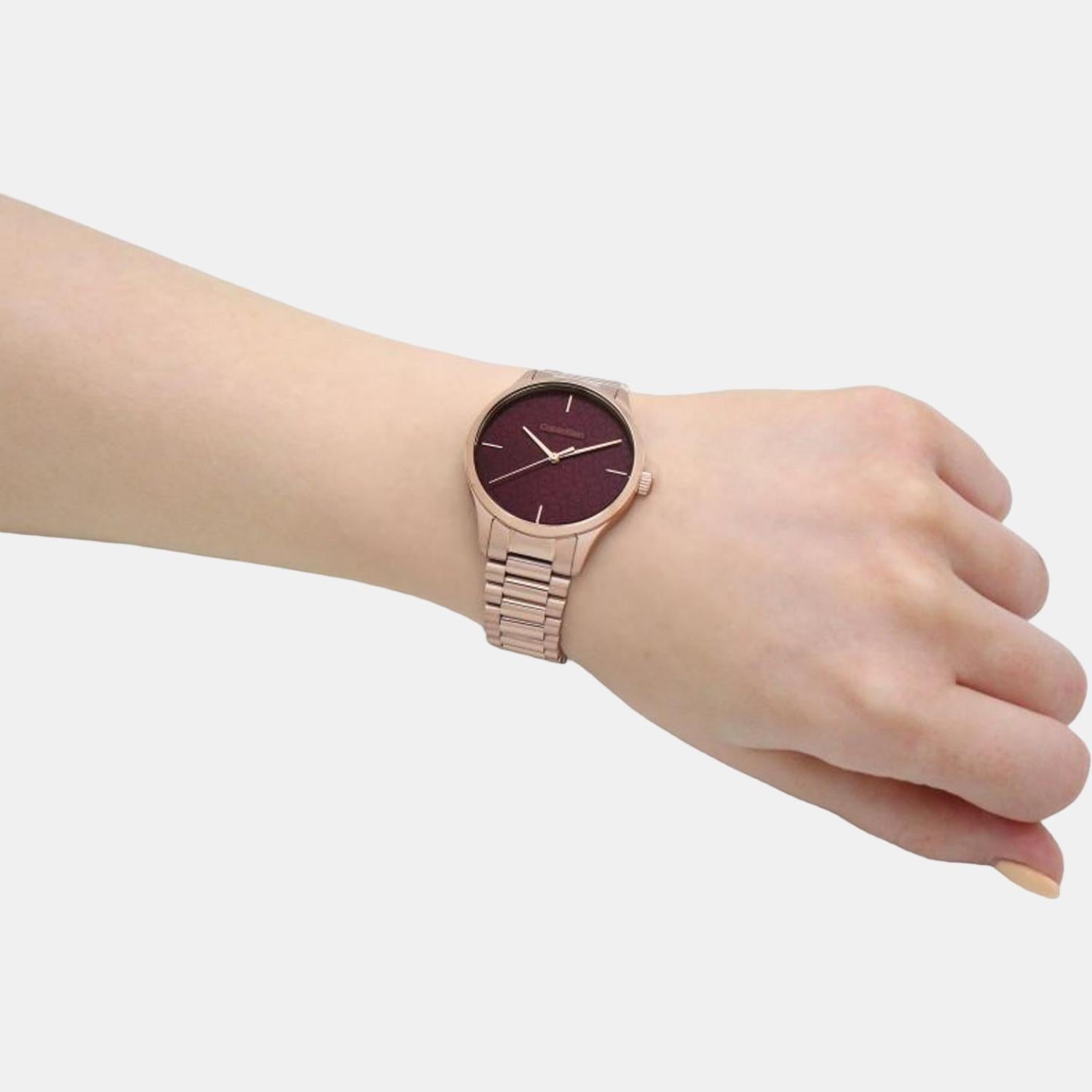 Calvin Klein Stainless Steel Brown watch