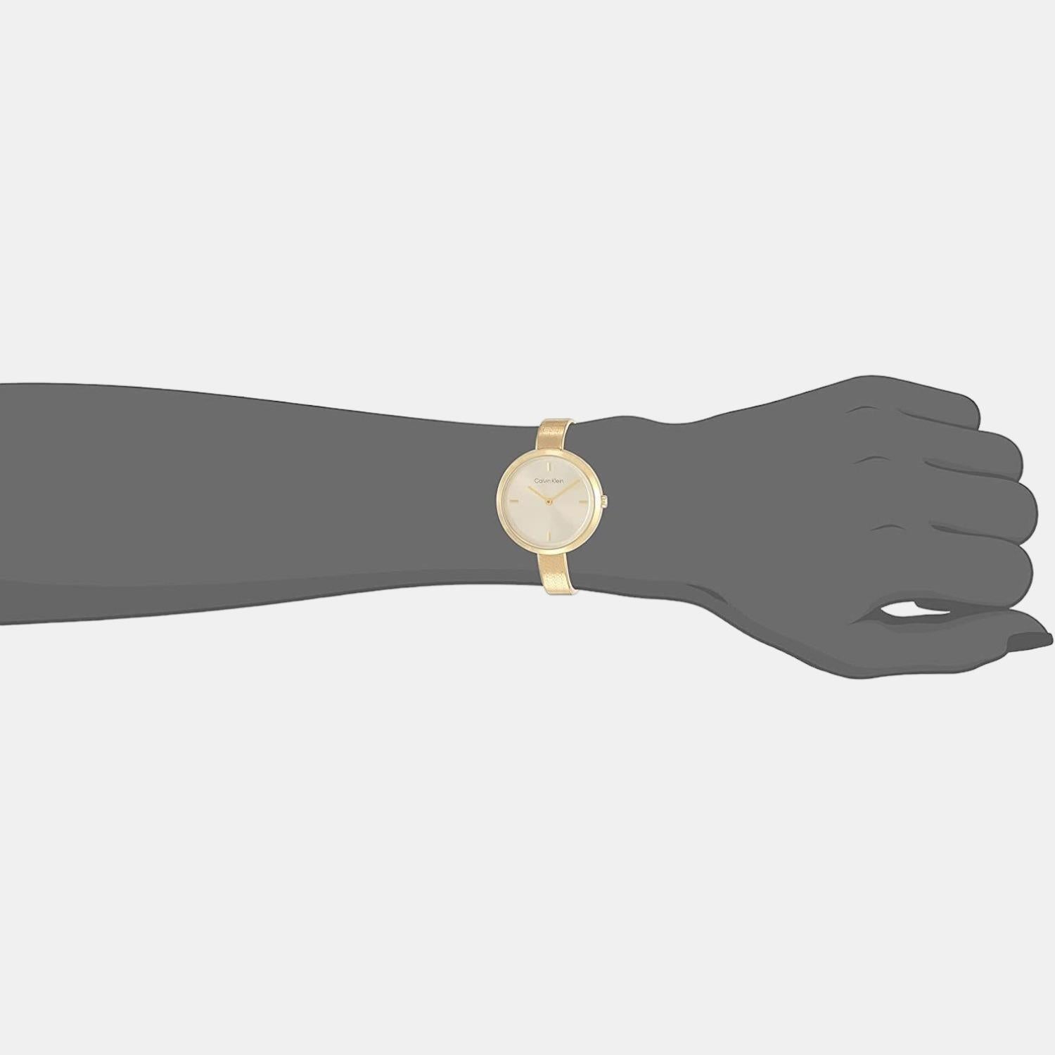 Calvin Klein Stainless Steel Gold watch