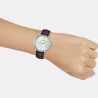 Casio 40 mm Brown Quartz watch