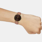 Casio 40 mm Brown Quartz watch