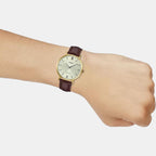 Casio 40 mm Brown Quartz watch