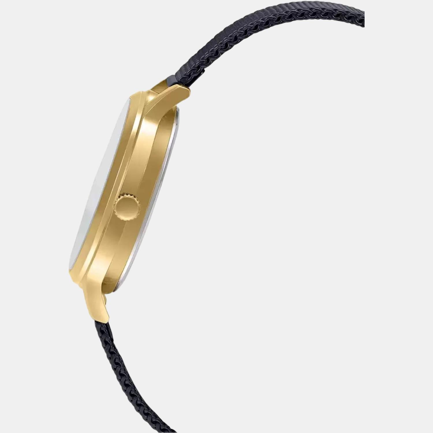 Casio Women Round Gold watch