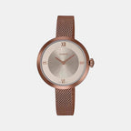 Casio Round Rose Gold Analog watch