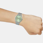 Casio Stainless Steel Green watch