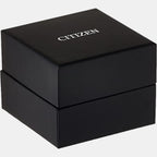 Citizen Stainless Steel Black watch