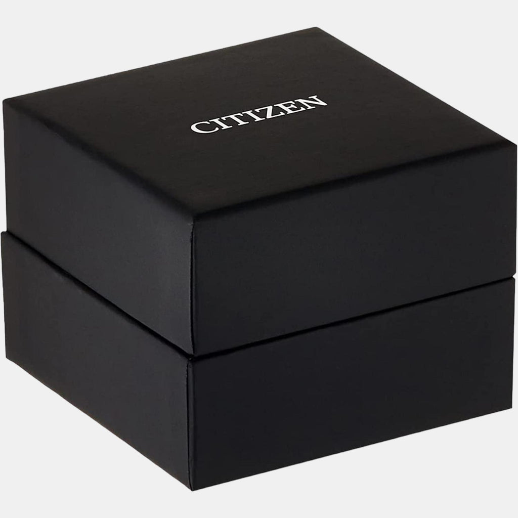 Citizen Stainless Steel Black watch