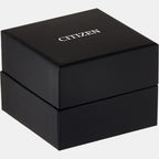 Citizen Stainless Steel Black watch
