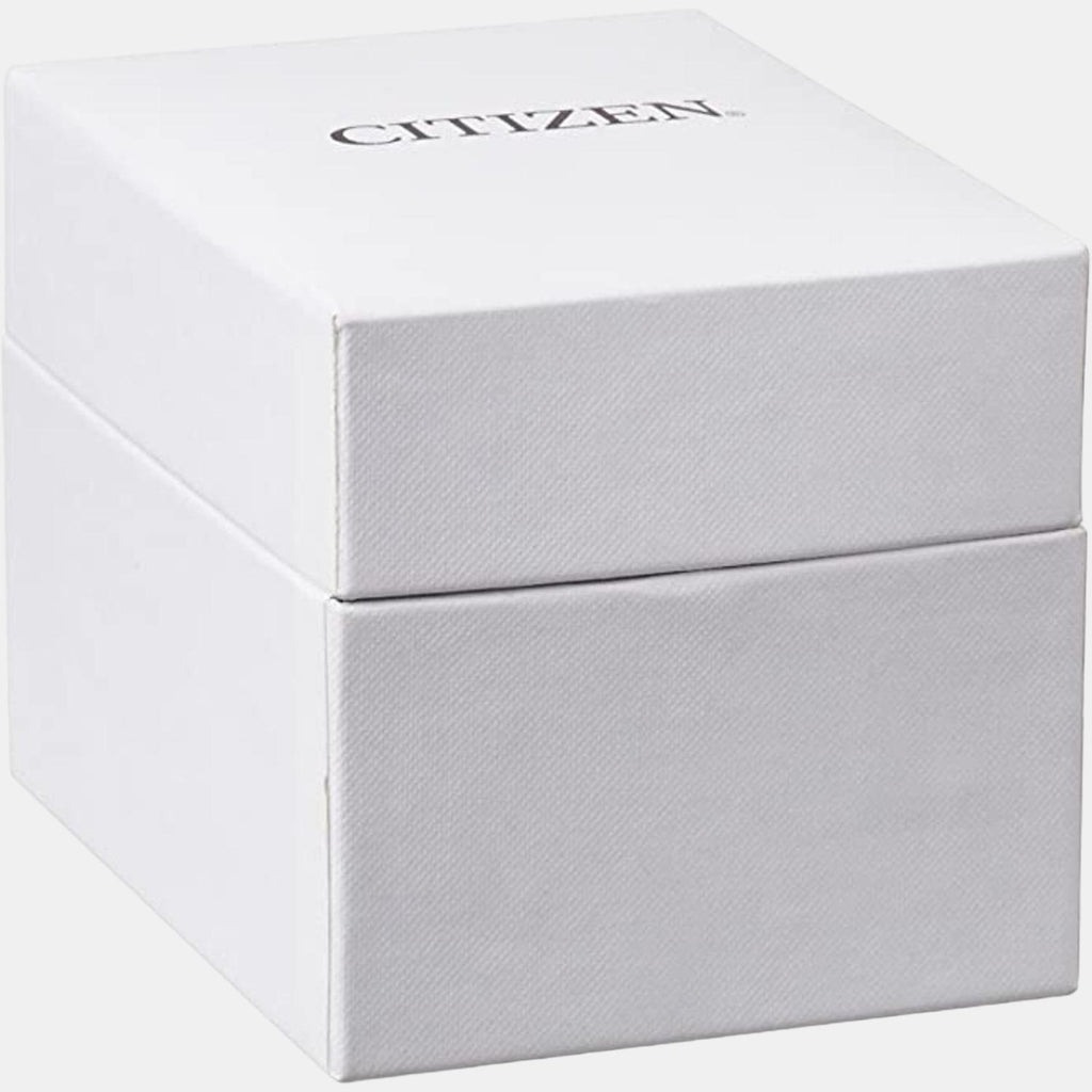 Citizen Leather Black watch