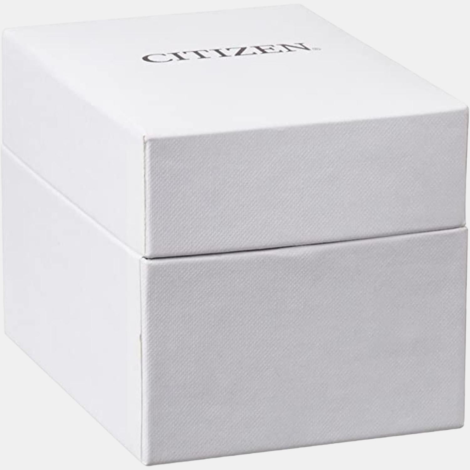 Citizen Leather Black watch