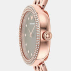 Emporio Armani Women Round Brown watch