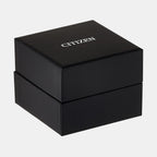 Citizen Leather Black watch