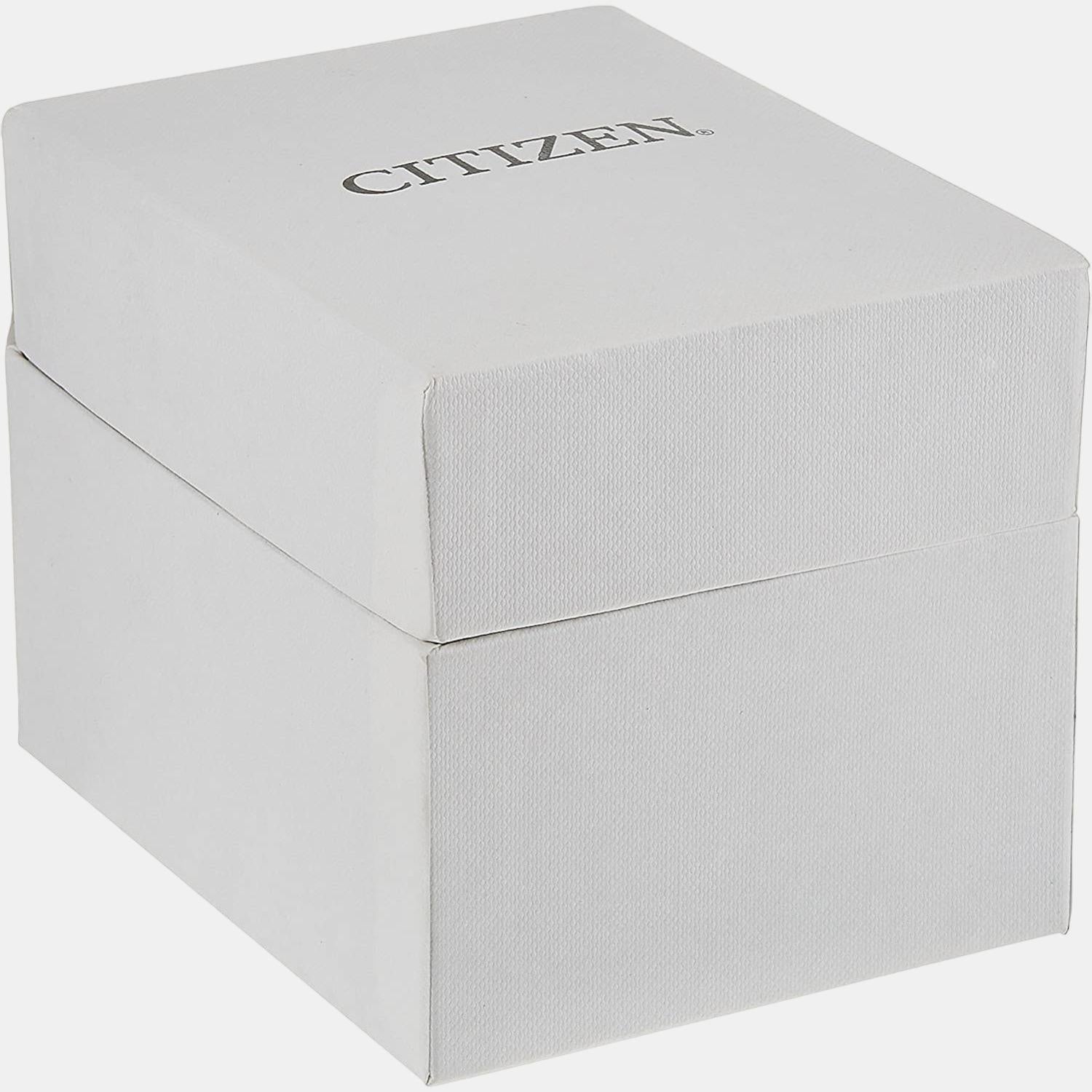 Citizen Stainless Steel Silver watch