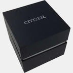 Citizen Leather Black watch