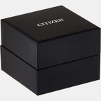 Citizen Stainless Steel Black watch