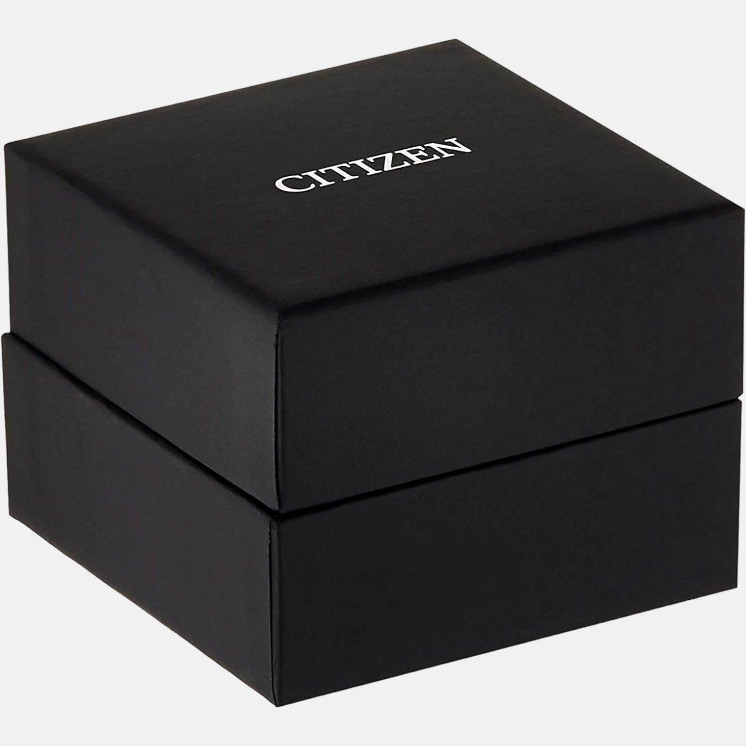 Citizen Stainless Steel Black watch