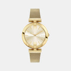 Ted Baker Round Gold Analog watch