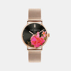 Ted Baker Round Two Tone Analog watch