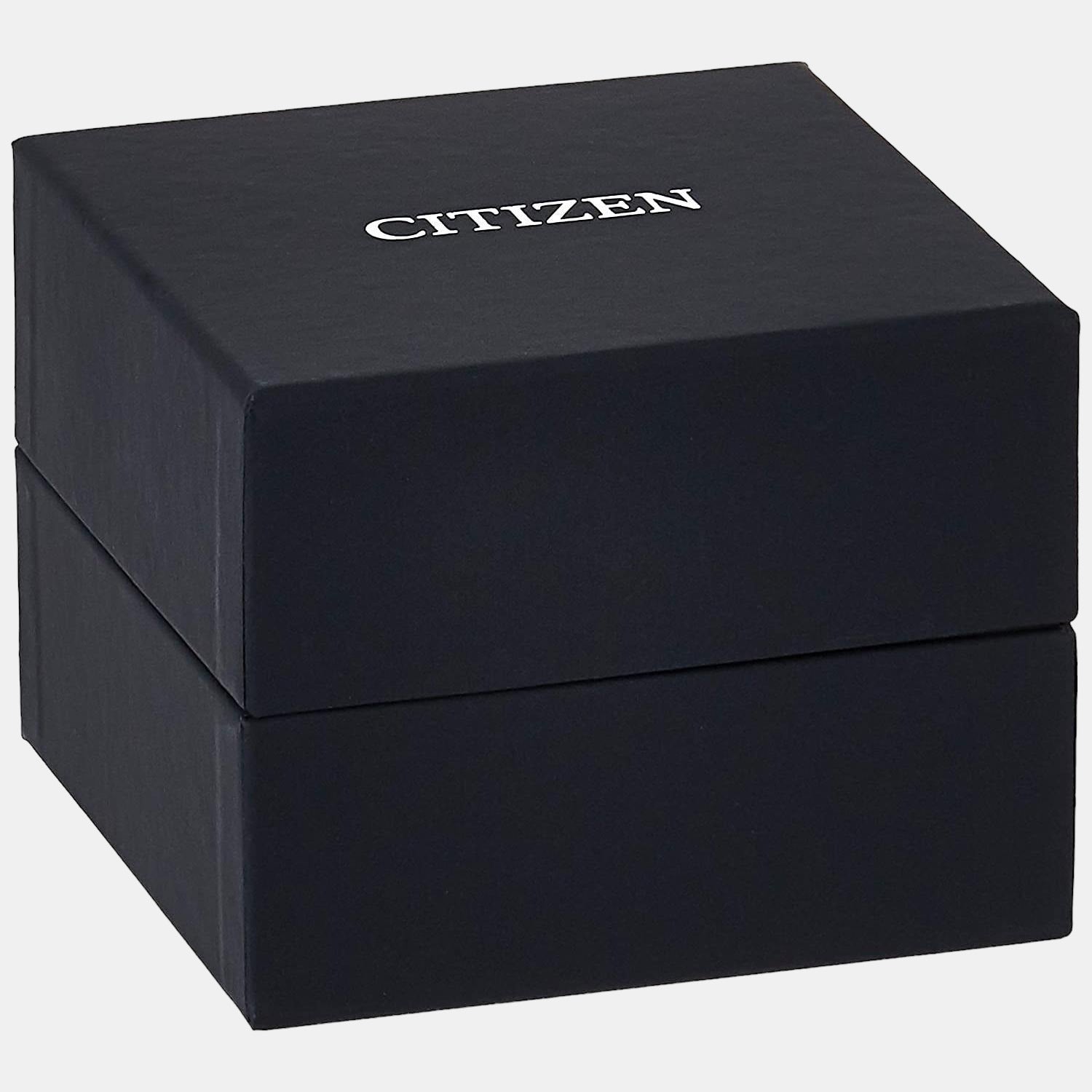 Citizen Stainless Steel Round watch