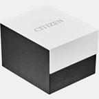 Citizen Stainless Steel Round watch