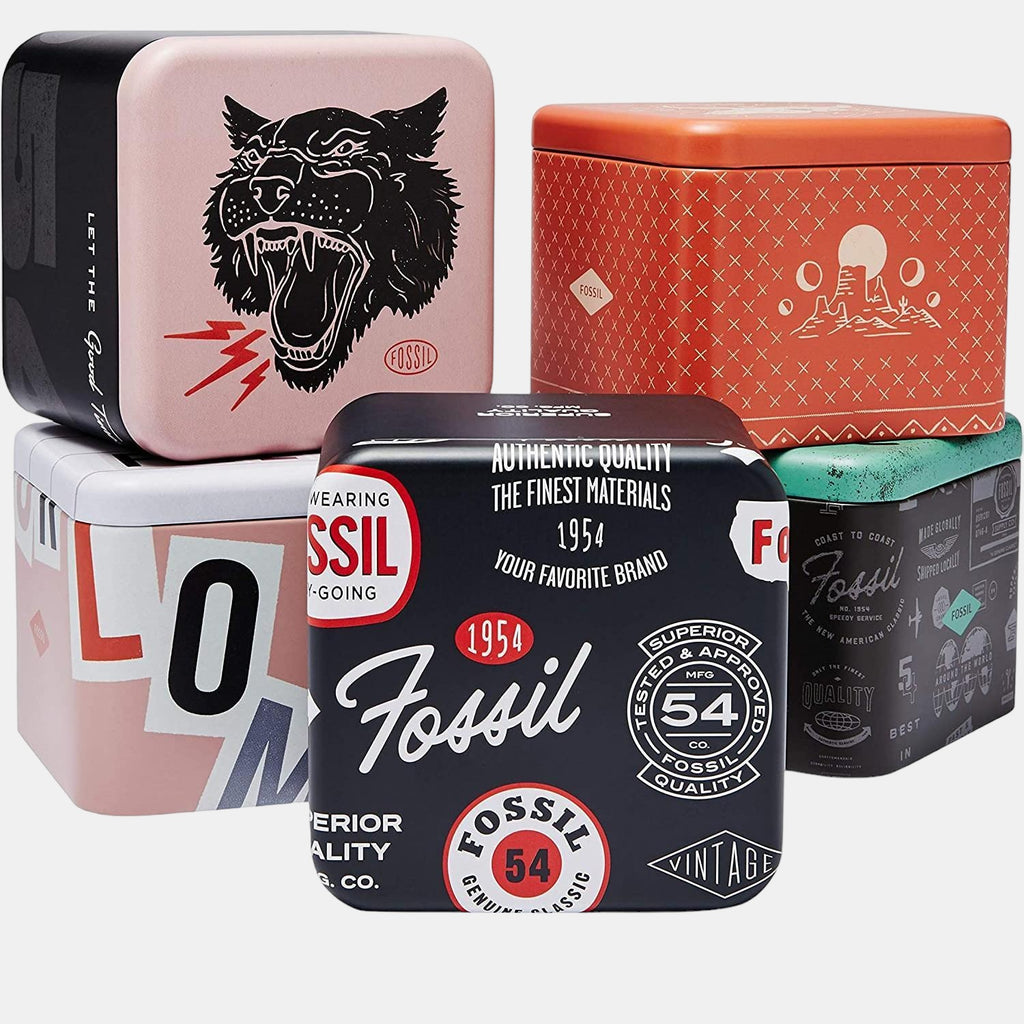 Virginia Women Quartz Silver Dial Analog Stainless Steel Watch ES3282