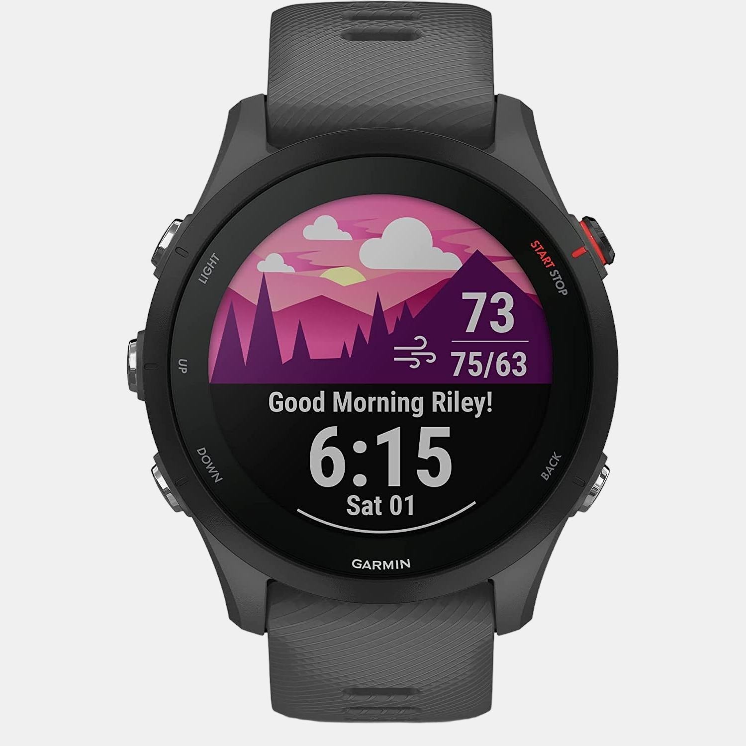 garmin-fiber-reinforced-polymer-black-sunlight-visible-transflective-memory-in-pixel-mip-male-watch-forerunner-255-slate-grey-010-02641-43