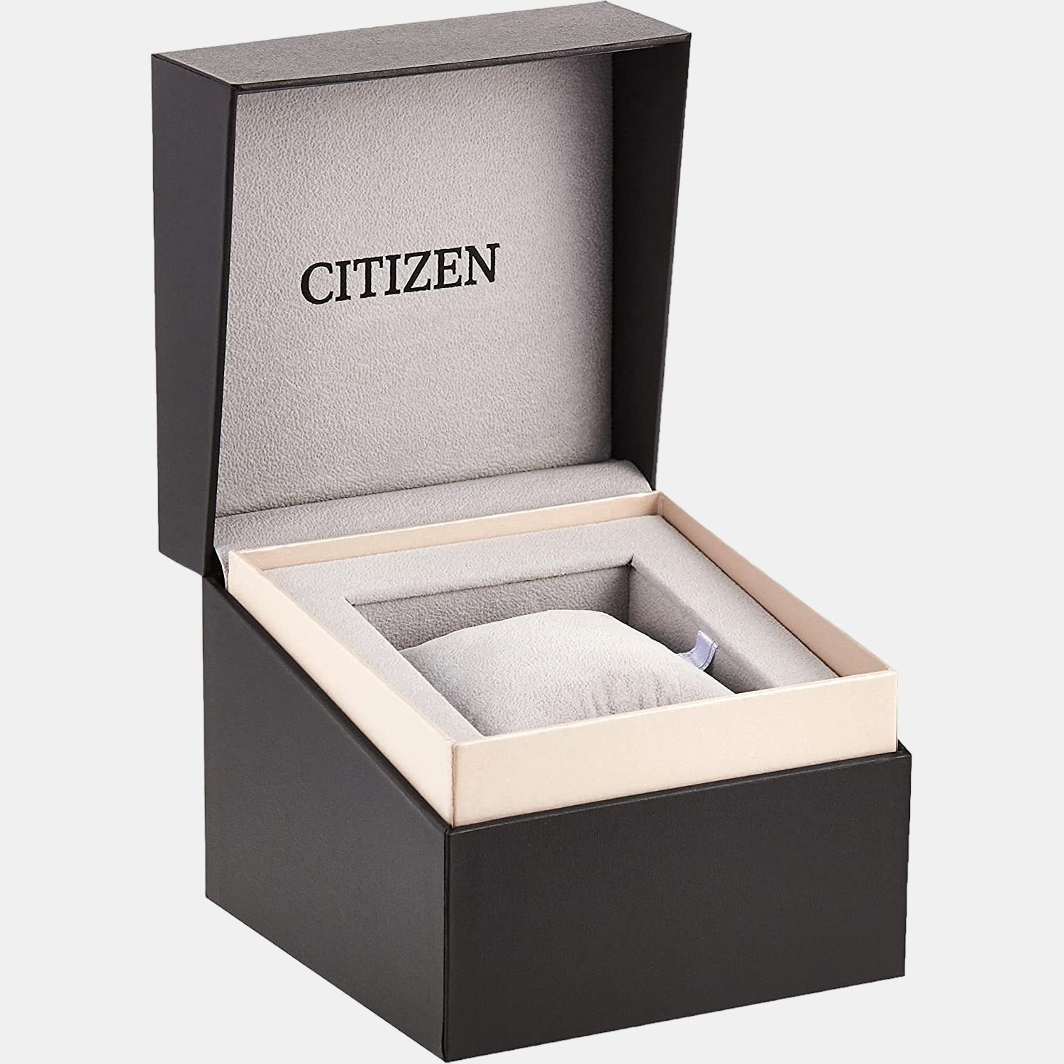 Citizen Stainless Steel Silver watch