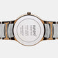 rado-stainless-steel-brown-analog-unisex-adult-watch-r30554303