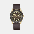 Rado Round Brown Analog watch