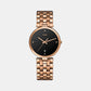 rado-stainless-steel-black-analog-female-watch-r48889713
