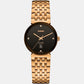 rado-stainless-steel-black-analog-female-watch-r48917703