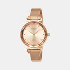 Strand Oval Rose Gold Analog watch