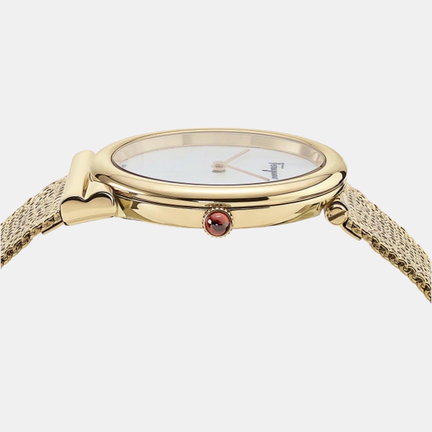 Ferragamo 41 mm Round Quartz watch
