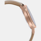 casio-stainless-steel-golden-analog-womens-watch-watch-sh214