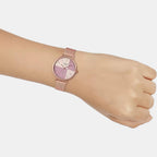 casio-stainless-steel-pink-gold-analog-womens-watch-watch-sh254