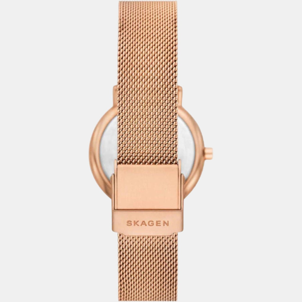 Skagen Stainless Steel Round watch