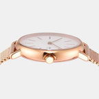 Skagen 30 mm Gold Quartz watch
