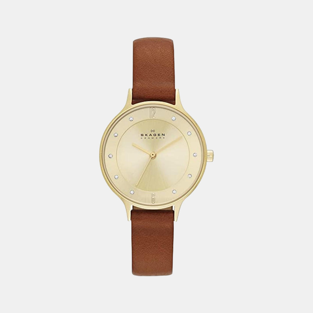 Skagen Round Gold Analog watch