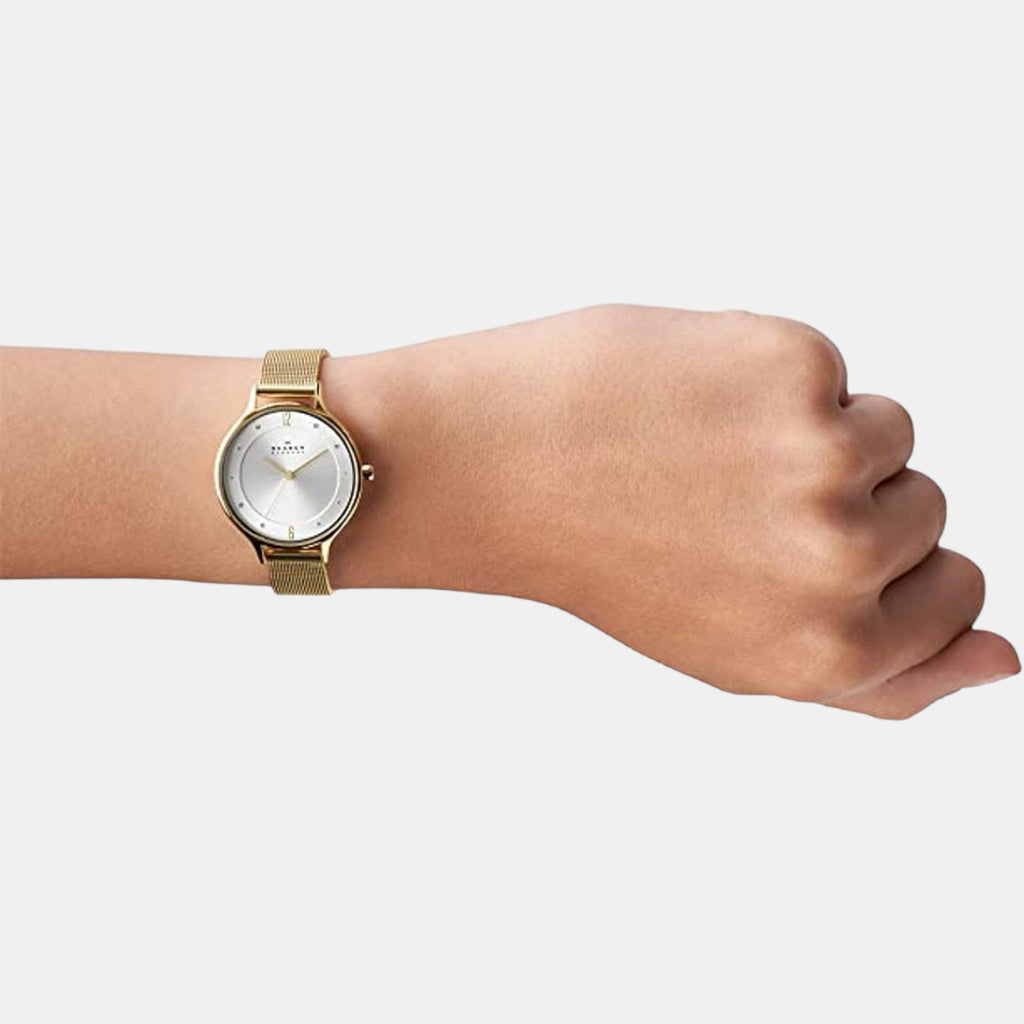 Skagen Stainless Steel Round watch