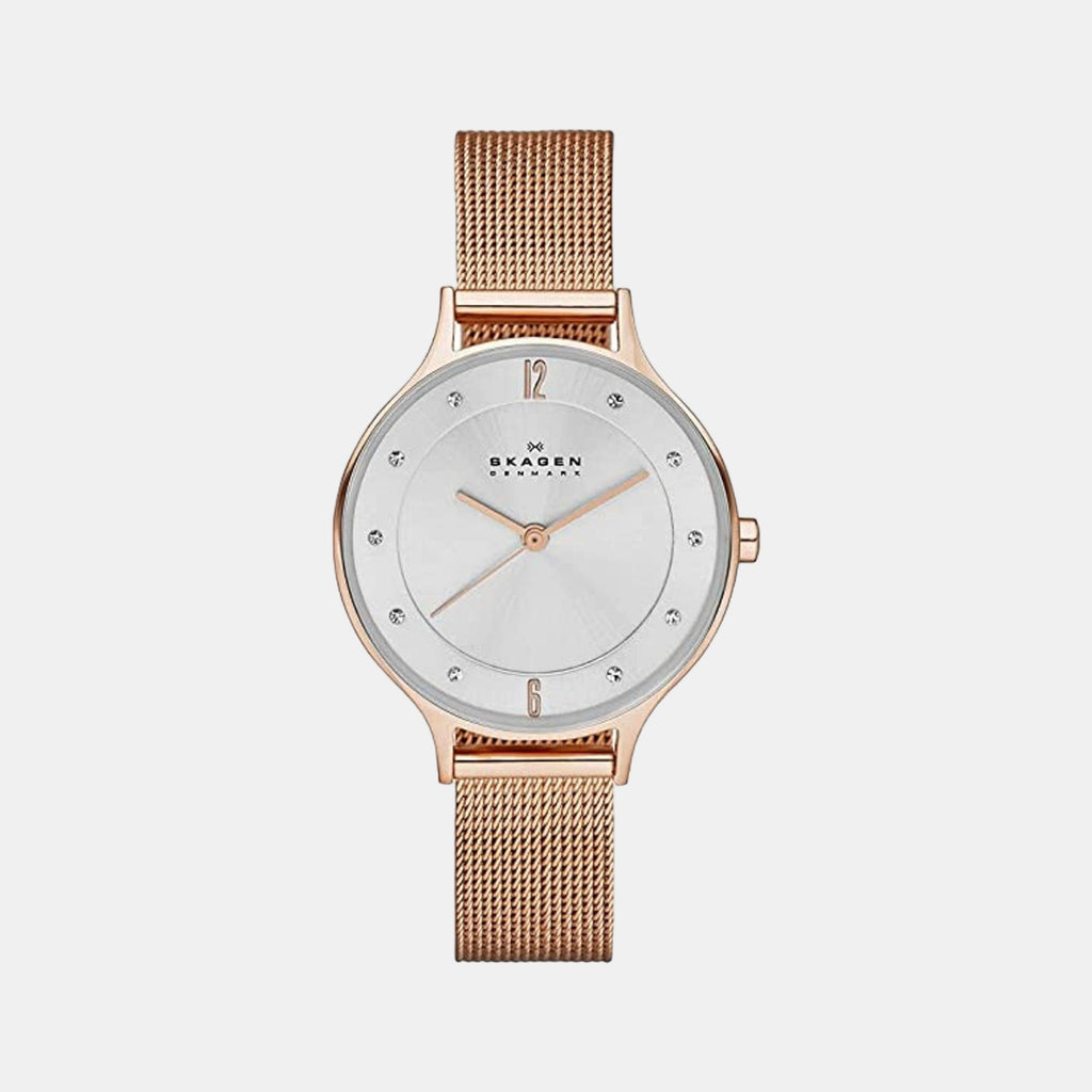 Skagen Round Silver Analog watch