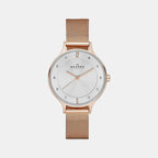 Skagen Round Silver Analog watch